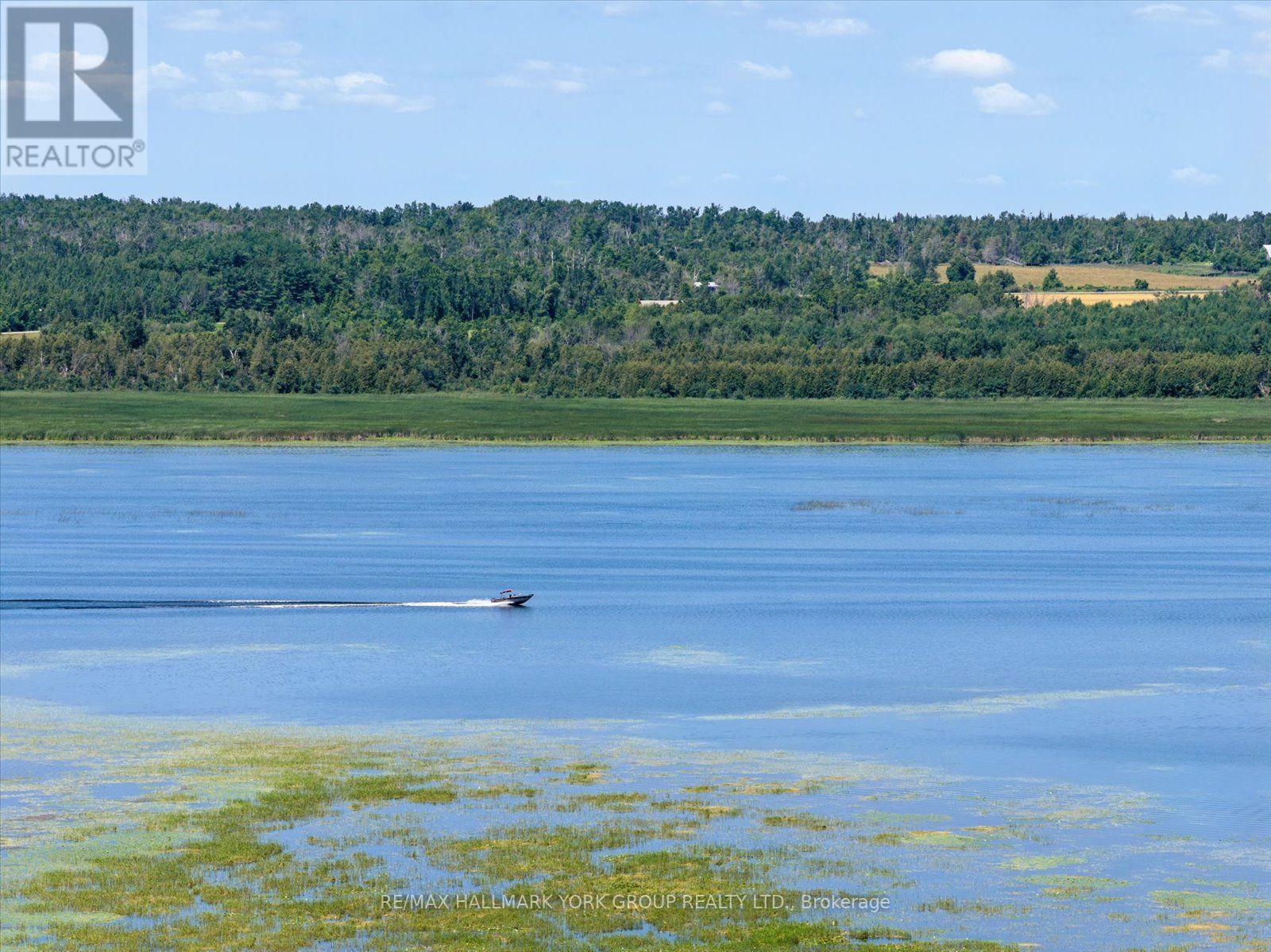 Lot 23 10 Concession, Kawartha Lakes (Emily), Ontario  K0L 1T0 - Photo 8 - X13613654