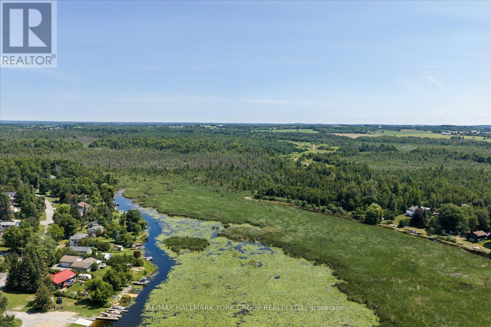Lot 23 10 Concession, Kawartha Lakes (Emily), Ontario  K0L 1T0 - Photo 9 - X13613654