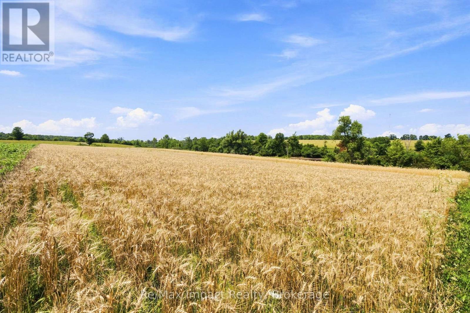 728 Larmer Line, Cavan Monaghan (Cavan Twp), Ontario  K0L 1V0 - Photo 37 - X13617678