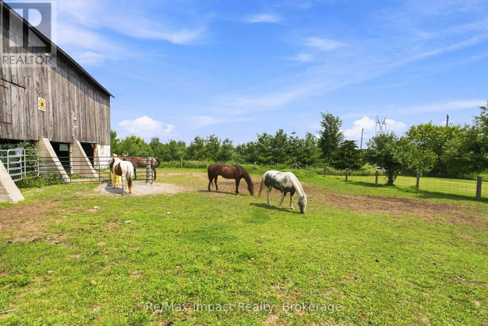 728 Larmer Line, Cavan Monaghan (Cavan Twp), Ontario  K0L 1V0 - Photo 44 - X13617678