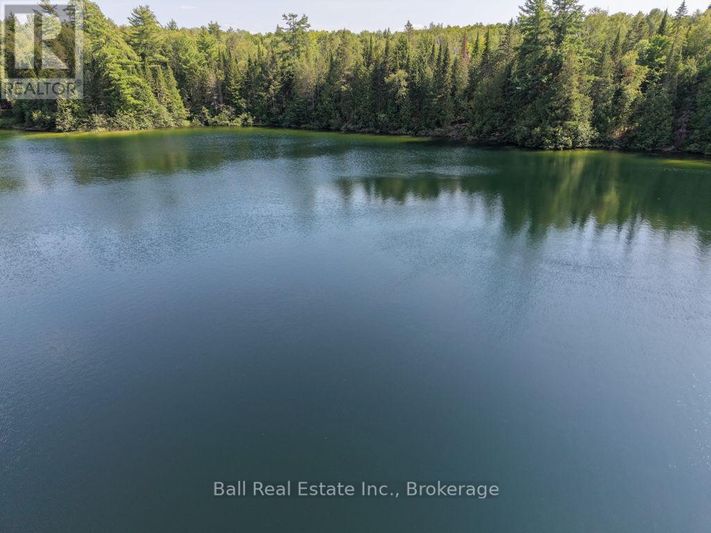 382 Old Detlor Road, Bancroft (Dungannon Ward), Ontario  K0L 2L0 - Photo 15 - X13620048