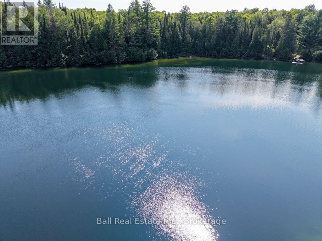 382 Old Detlor Road, Bancroft (Dungannon Ward), Ontario  K0L 2L0 - Photo 16 - X13620048