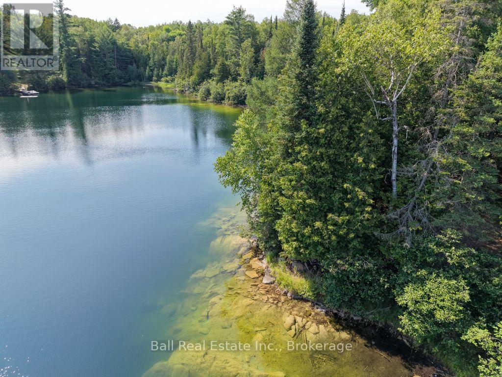 382 Old Detlor Road, Bancroft (Dungannon Ward), Ontario  K0L 2L0 - Photo 17 - X13620048
