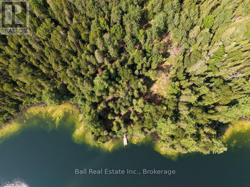 382 Old Detlor Road, Bancroft (Dungannon Ward), Ontario  K0L 2L0 - Photo 2 - X13620048
