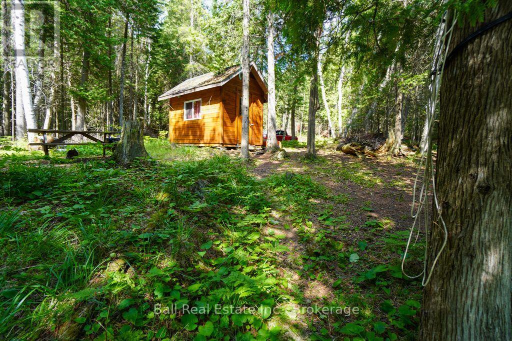 382 Old Detlor Road, Bancroft (Dungannon Ward), Ontario  K0L 2L0 - Photo 28 - X13620048