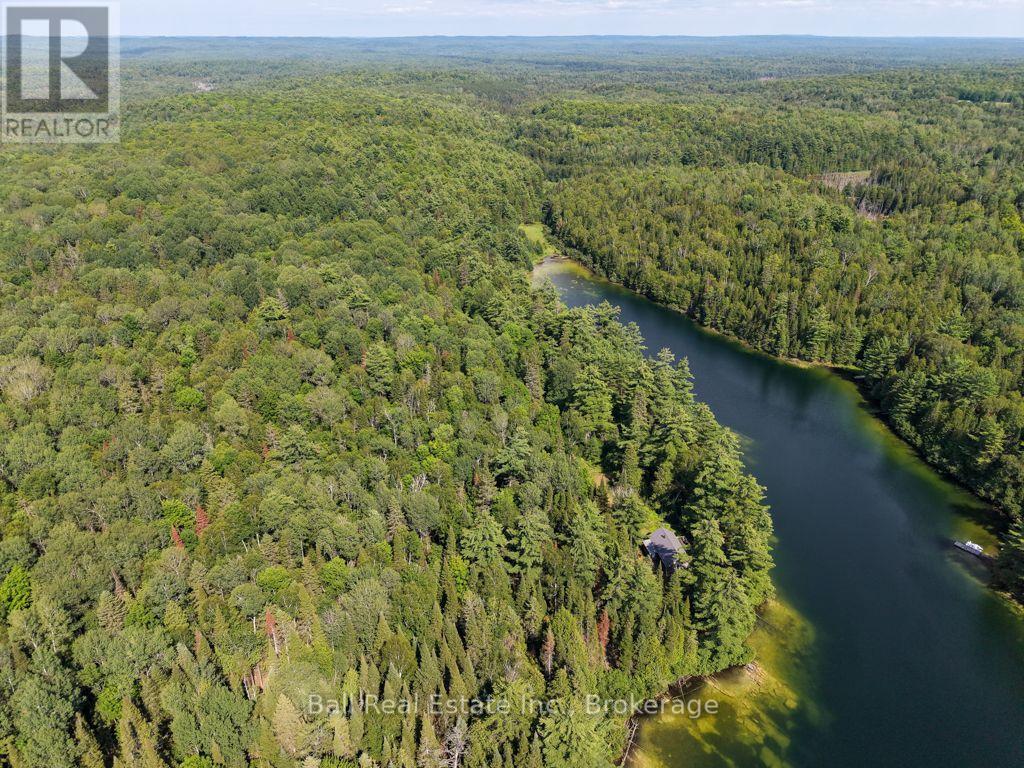 382 Old Detlor Road, Bancroft (Dungannon Ward), Ontario  K0L 2L0 - Photo 3 - X13620048