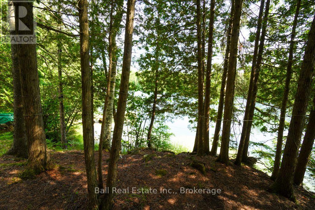 382 Old Detlor Road, Bancroft (Dungannon Ward), Ontario  K0L 2L0 - Photo 36 - X13620048