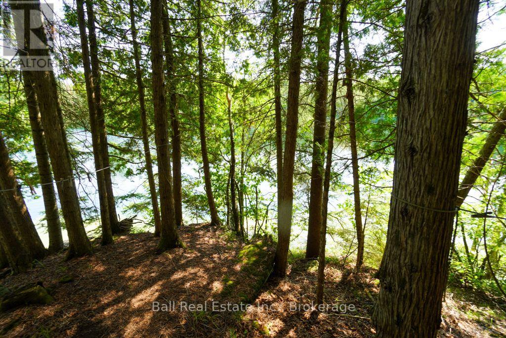 382 Old Detlor Road, Bancroft (Dungannon Ward), Ontario  K0L 2L0 - Photo 37 - X13620048