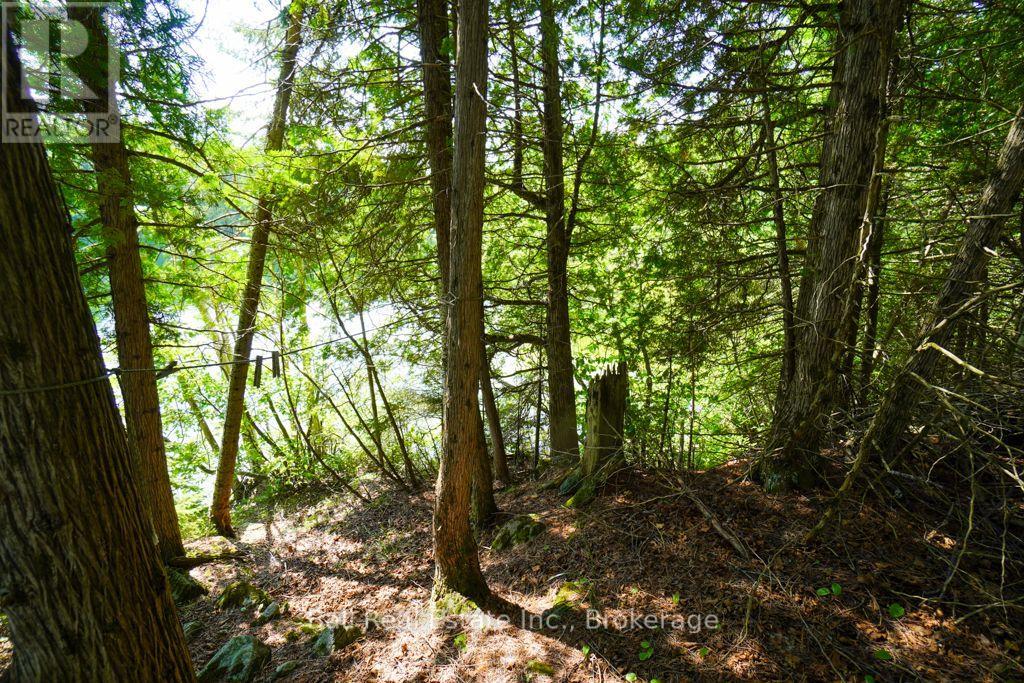 382 Old Detlor Road, Bancroft (Dungannon Ward), Ontario  K0L 2L0 - Photo 38 - X13620048