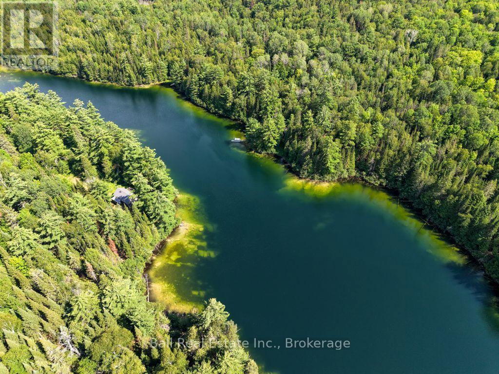 382 Old Detlor Road, Bancroft (Dungannon Ward), Ontario  K0L 2L0 - Photo 4 - X13620048