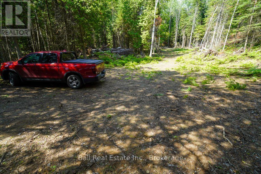 382 Old Detlor Road, Bancroft (Dungannon Ward), Ontario  K0L 2L0 - Photo 43 - X13620048