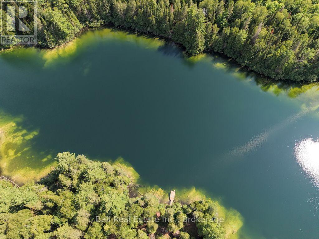 382 Old Detlor Road, Bancroft (Dungannon Ward), Ontario  K0L 2L0 - Photo 5 - X13620048