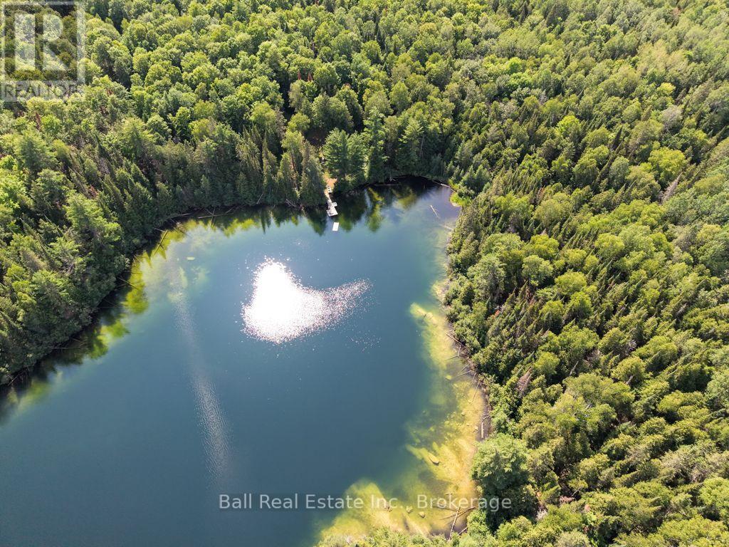 382 Old Detlor Road, Bancroft (Dungannon Ward), Ontario  K0L 2L0 - Photo 6 - X13620048