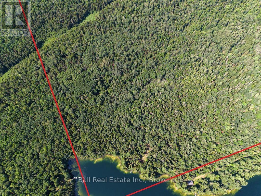 382 Old Detlor Road, Bancroft (Dungannon Ward), Ontario  K0L 2L0 - Photo 8 - X13620048
