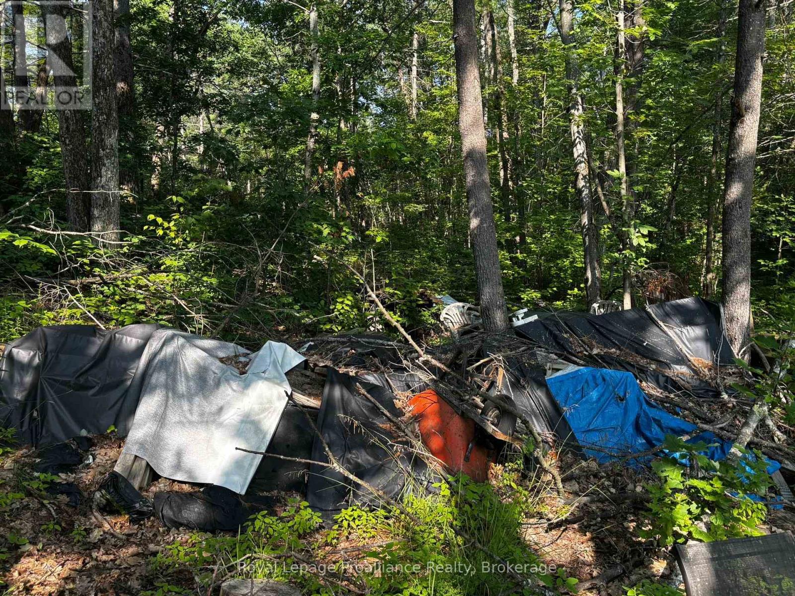 224 Fire Route 91, Havelock-Belmont-Methuen, Ontario  K0L 1Z0 - Photo 25 - X13620694