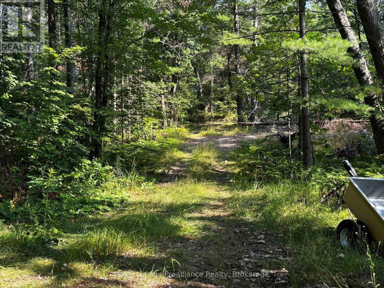 224 Fire Route 91, Havelock-Belmont-Methuen, Ontario  K0L 1Z0 - Photo 26 - X13620694