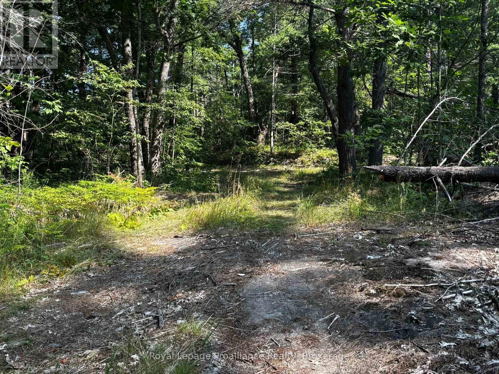224 Fire Route 91, Havelock-Belmont-Methuen, Ontario  K0L 1Z0 - Photo 27 - X13620694