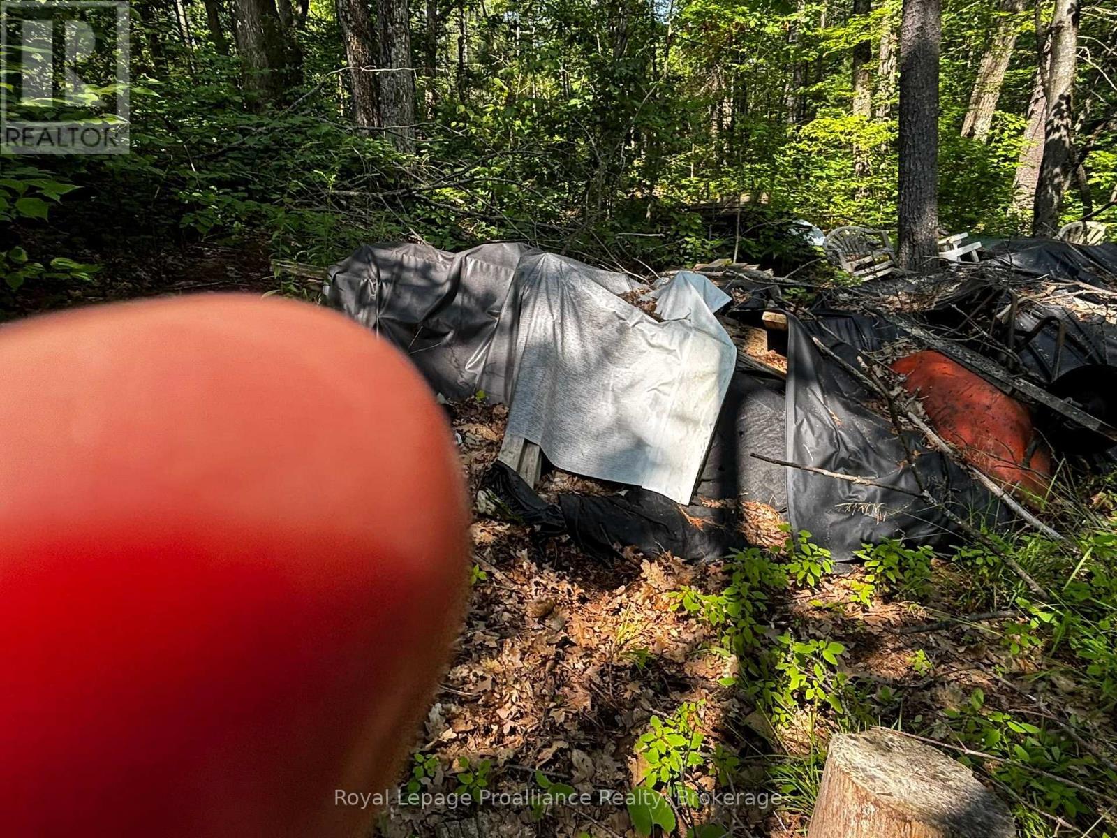 224 Fire Route 91, Havelock-Belmont-Methuen, Ontario  K0L 1Z0 - Photo 36 - X13620694