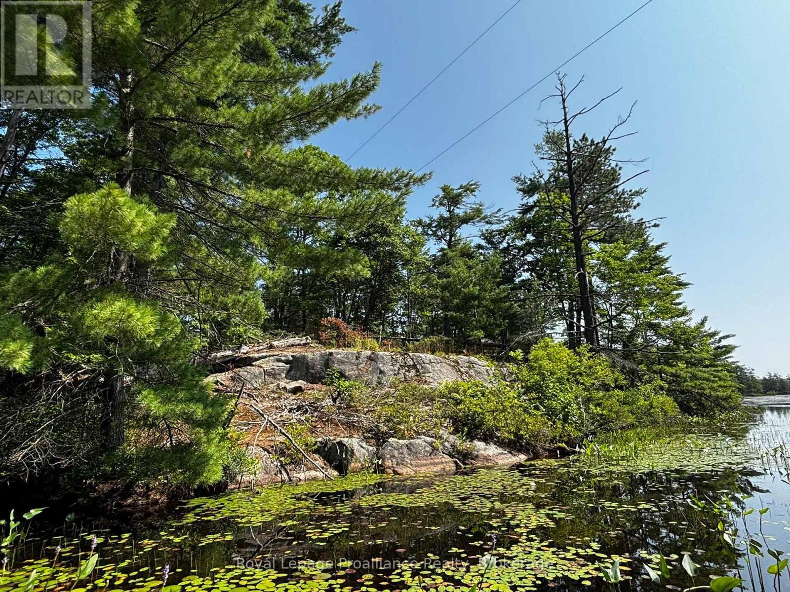 224 Fire Route 91, Havelock-Belmont-Methuen, Ontario  K0L 1Z0 - Photo 38 - X13620694