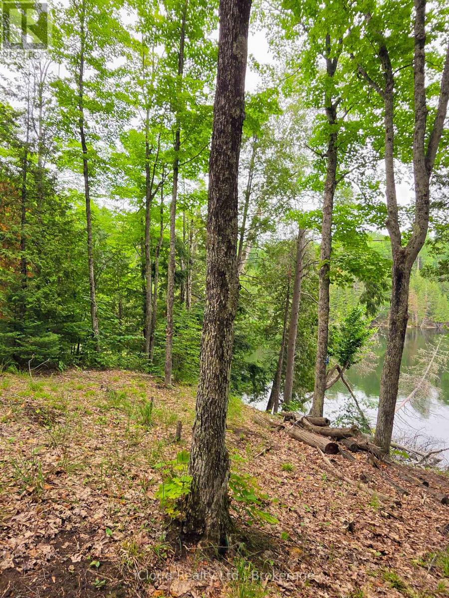 130a Finnegan Lane, Wollaston, Ontario  K0L 1P0 - Photo 18 - X13621626