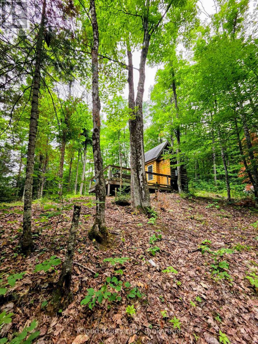130a Finnegan Lane, Wollaston, Ontario  K0L 1P0 - Photo 23 - X13621626