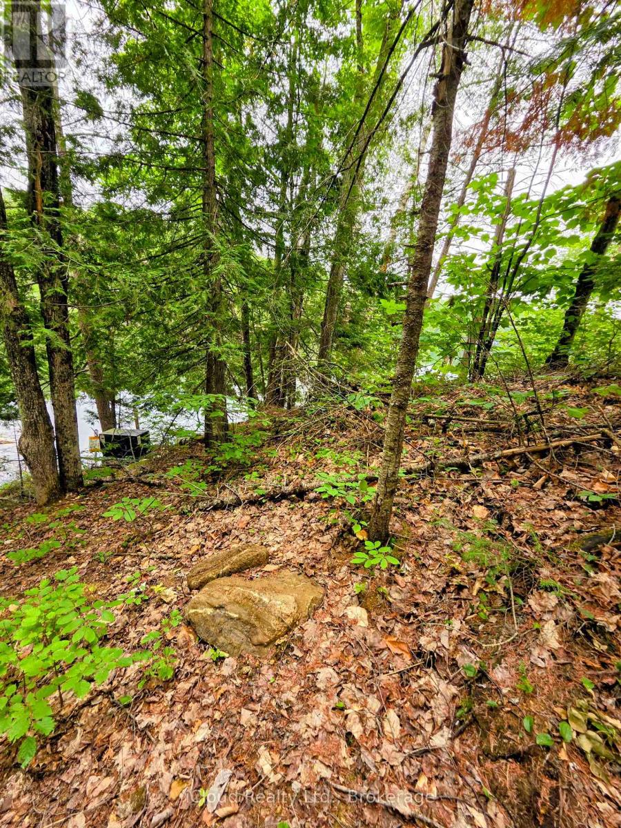 130a Finnegan Lane, Wollaston, Ontario  K0L 1P0 - Photo 24 - X13621626