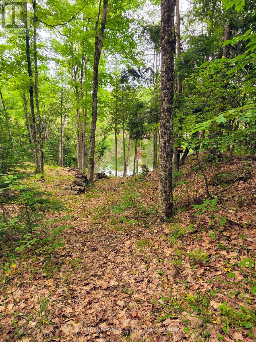 130a Finnegan Lane, Wollaston, Ontario  K0L 1P0 - Photo 30 - X13621626