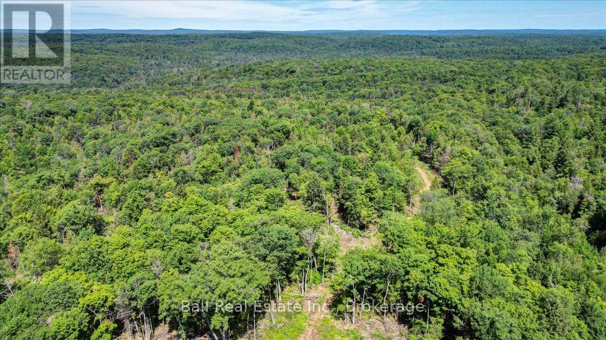 691 Bush Road, North Kawartha, Ontario  K0L 1A0 - Photo 3 - X13622050