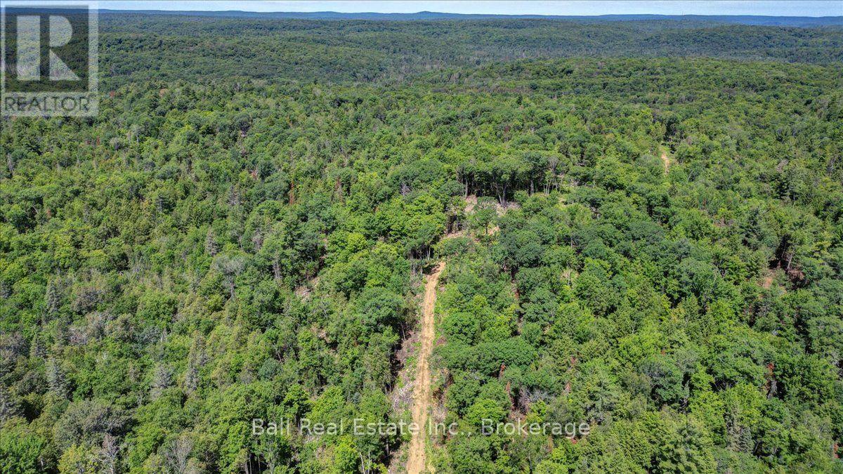 691 Bush Road, North Kawartha, Ontario  K0L 1A0 - Photo 4 - X13622050