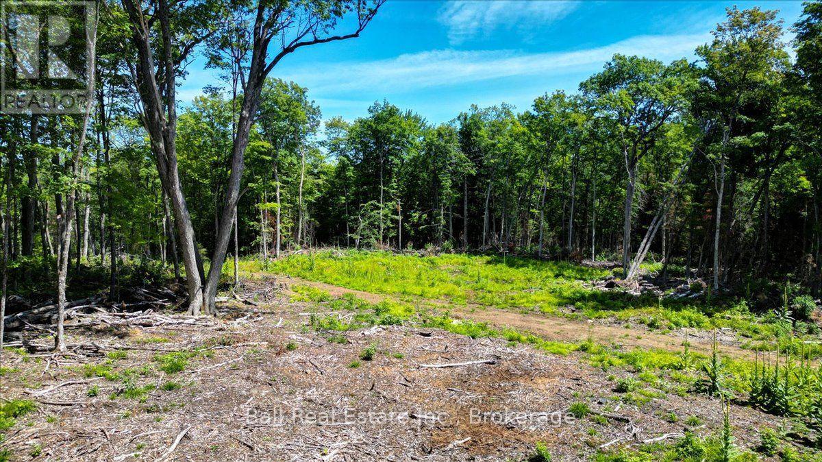 691 Bush Road, North Kawartha, Ontario  K0L 1A0 - Photo 6 - X13622050