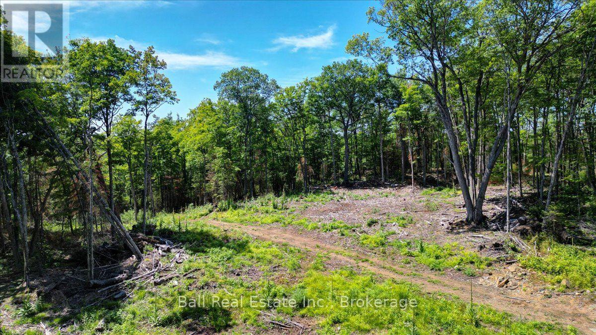 691 Bush Road, North Kawartha, Ontario  K0L 1A0 - Photo 7 - X13622050