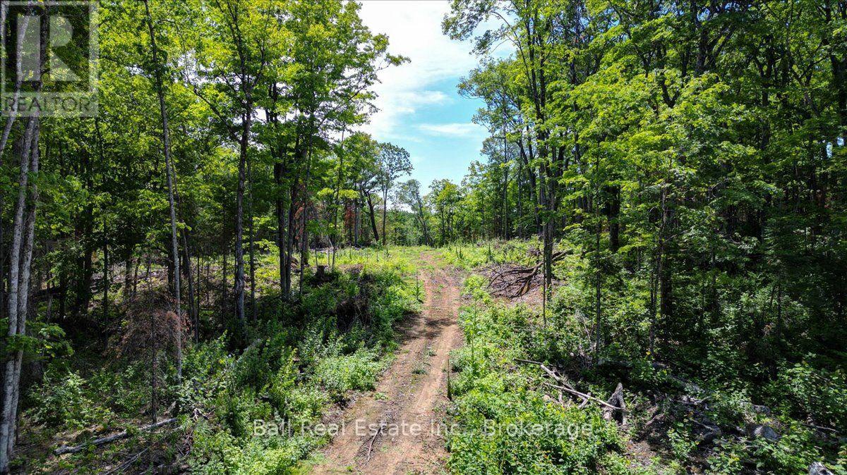 691 Bush Road, North Kawartha, Ontario  K0L 1A0 - Photo 8 - X13622050