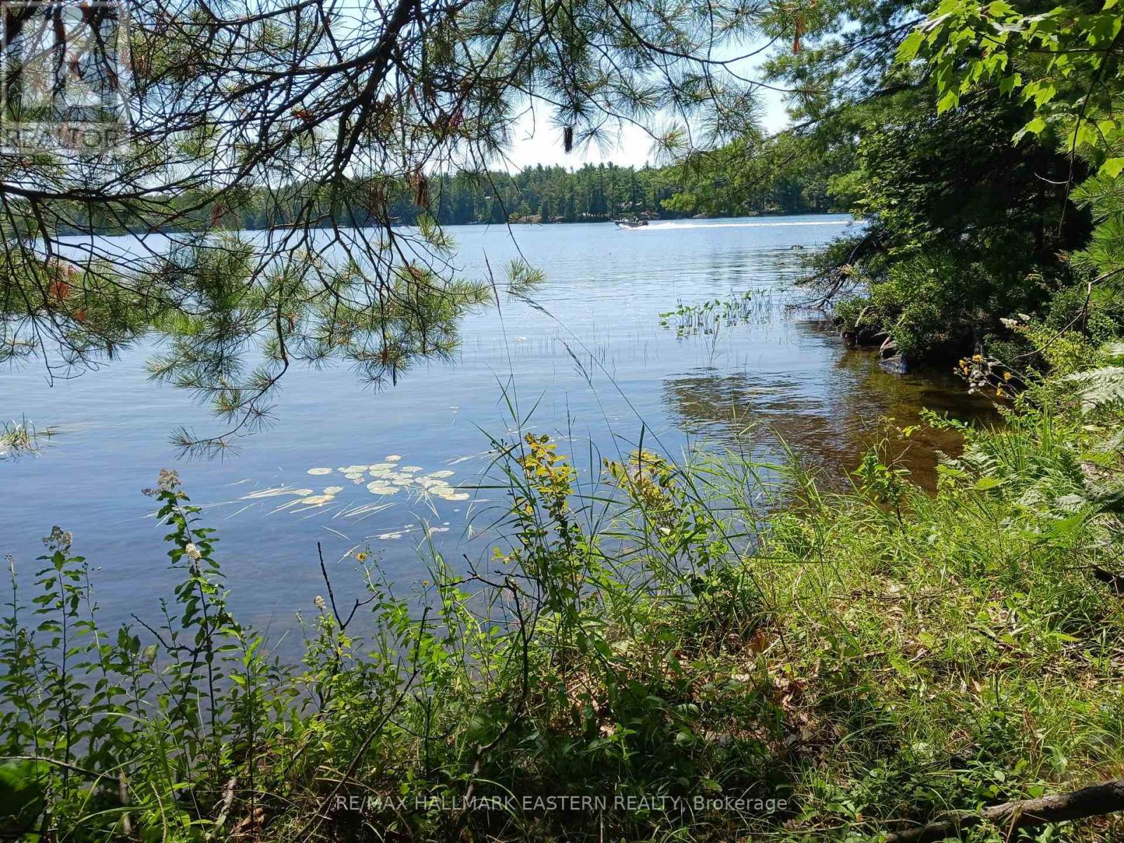 15 Fire Route 92a, Havelock-Belmont-Methuen (Belmont-Methuen), Ontario  K0L 2H0 - Photo 2 - X13627044