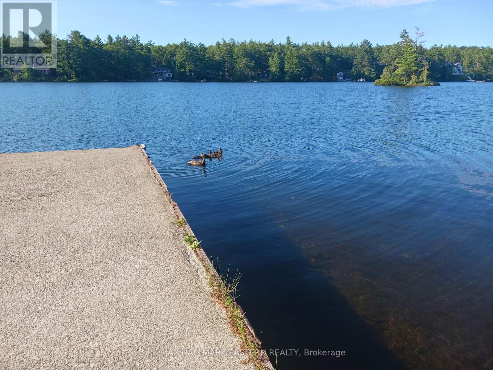 17 Fire Route 92a, Havelock-Belmont-Methuen (Belmont-Methuen), Ontario  K0L 2H0 - Photo 24 - X13627102