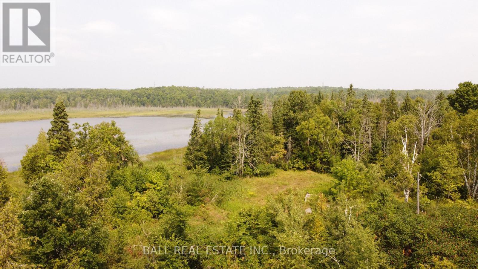 892 County Rd 40, Douro-Dummer, Ontario  K0L 2V0 - Photo 10 - X13633954