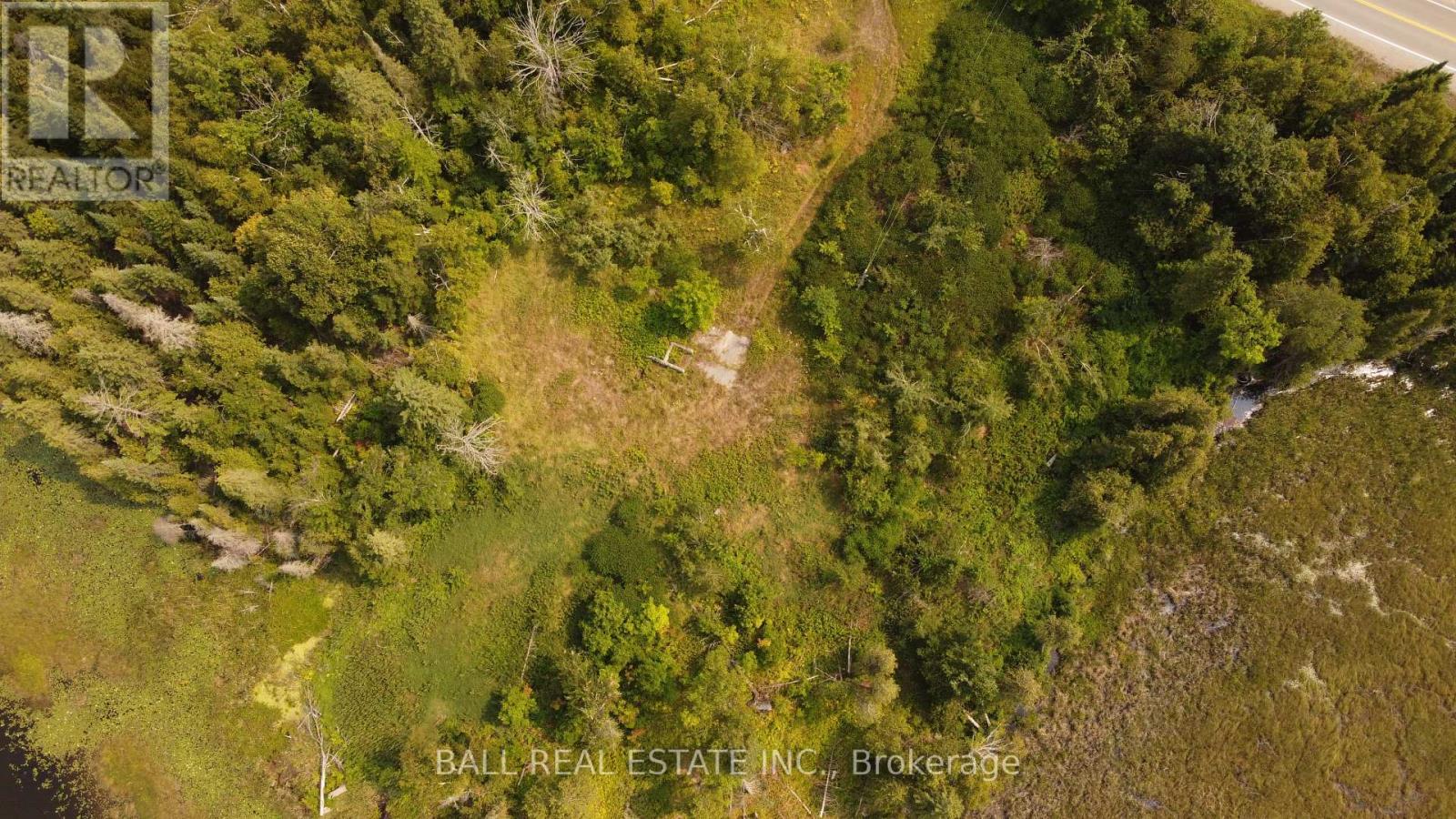 892 County Rd 40, Douro-Dummer, Ontario  K0L 2V0 - Photo 9 - X13633954