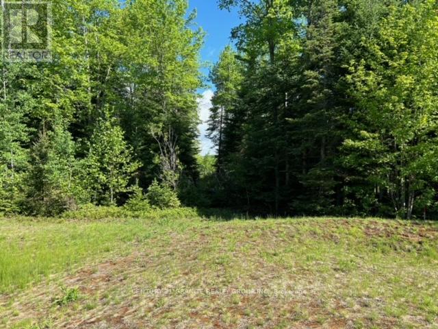Lot 27 Bancroft Ridge Drive, Bancroft (Bancroft Ward), Ontario  K0L 1C0 - Photo 3 - X13636124