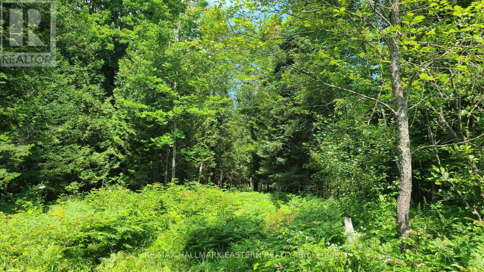 N/a Keating Road N, Havelock-Belmont-Methuen (Belmont-Methuen), Ontario  K0L 1Z0 - Photo 11 - X13639358