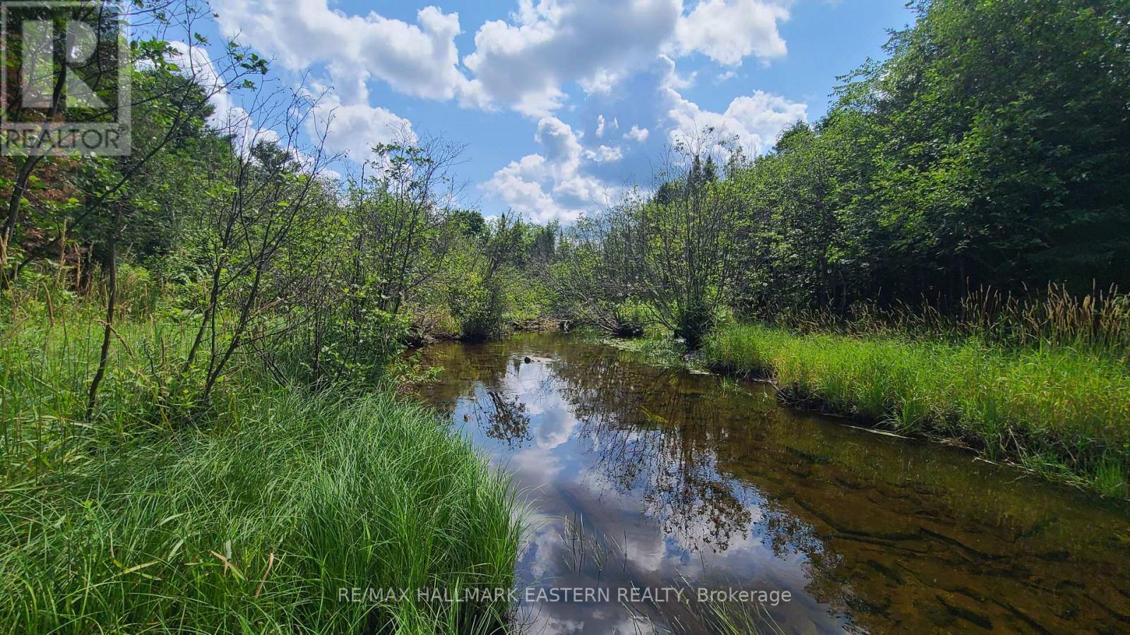 N/a Keating Road N, Havelock-Belmont-Methuen (Belmont-Methuen), Ontario  K0L 1Z0 - Photo 15 - X13639358
