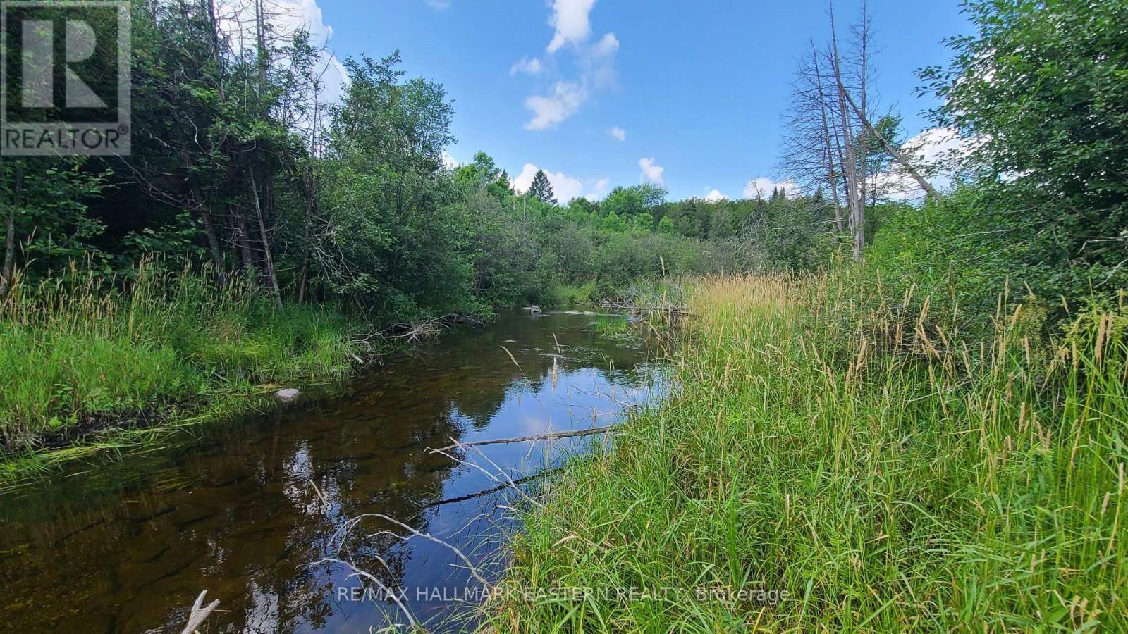N/a Keating Road N, Havelock-Belmont-Methuen (Belmont-Methuen), Ontario  K0L 1Z0 - Photo 18 - X13639358