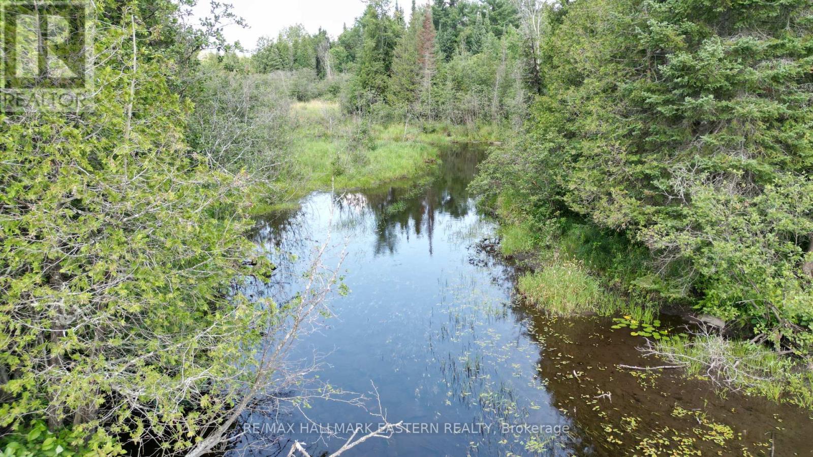 N/a Keating Road N, Havelock-Belmont-Methuen (Belmont-Methuen), Ontario  K0L 1Z0 - Photo 21 - X13639358