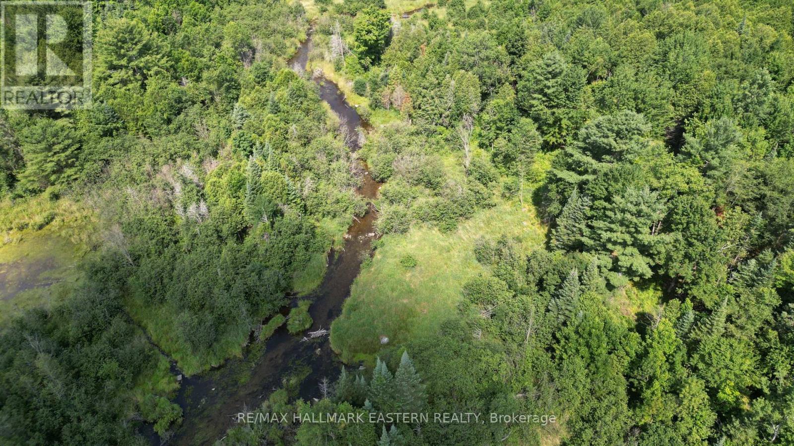 N/a Keating Road N, Havelock-Belmont-Methuen (Belmont-Methuen), Ontario  K0L 1Z0 - Photo 25 - X13639358
