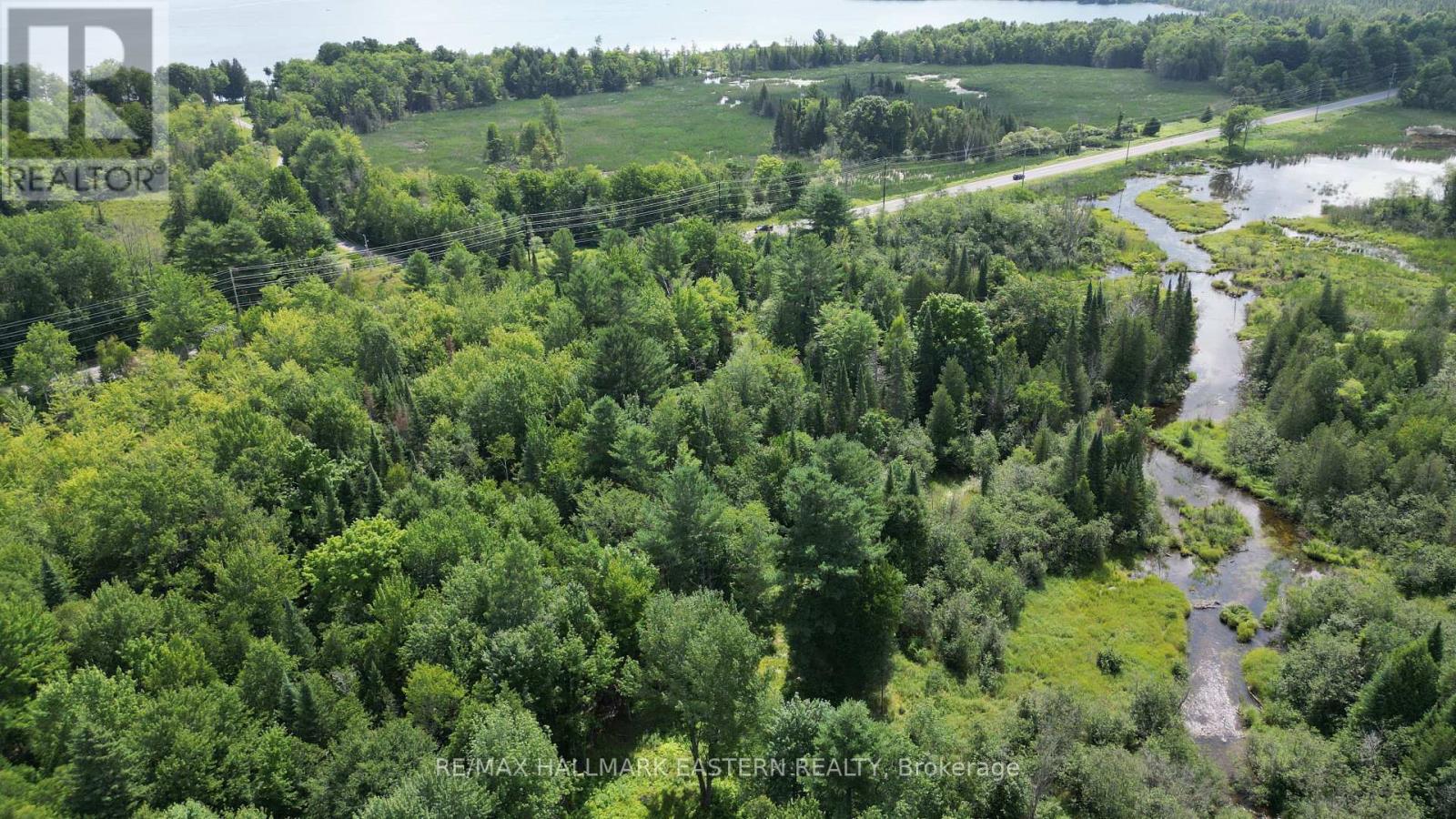 N/a Keating Road N, Havelock-Belmont-Methuen (Belmont-Methuen), Ontario  K0L 1Z0 - Photo 4 - X13639358