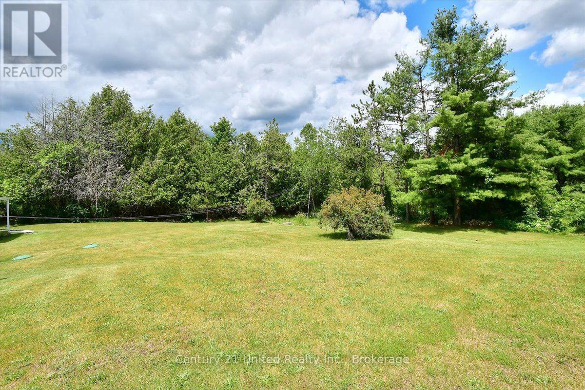 1541 County Road 4, Douro-Dummer, Ontario  K0L 3A0 - Photo 33 - X13640950