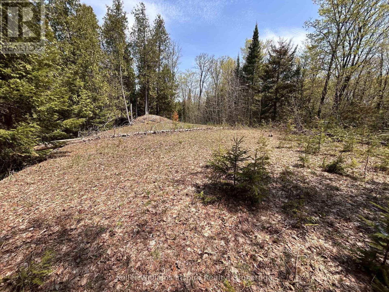 0 Highway 118, Faraday, Ontario  K0L 1C0 - Photo 15 - X13153456