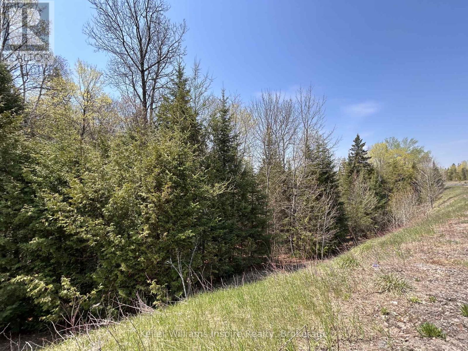 0 Highway 118, Faraday, Ontario  K0L 1C0 - Photo 4 - X13153456