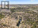 435 Bland Line, Cavan Monaghan (Cavan Twp), Ontario  L0A 1C0 - Photo 50 - X13643538