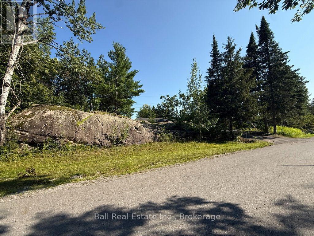 116 Mystic Point Road, Trent Lakes, Ontario  K0L 1J0 - Photo 48 - X13645200