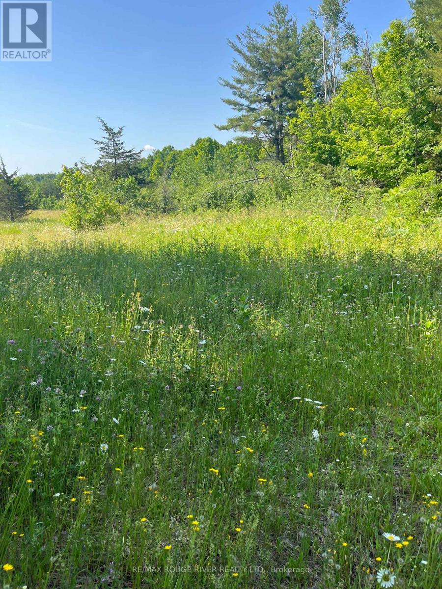 2421 14th Line East Acres E, Trent Hills, Ontario  K0L 1L0 - Photo 6 - X13646494