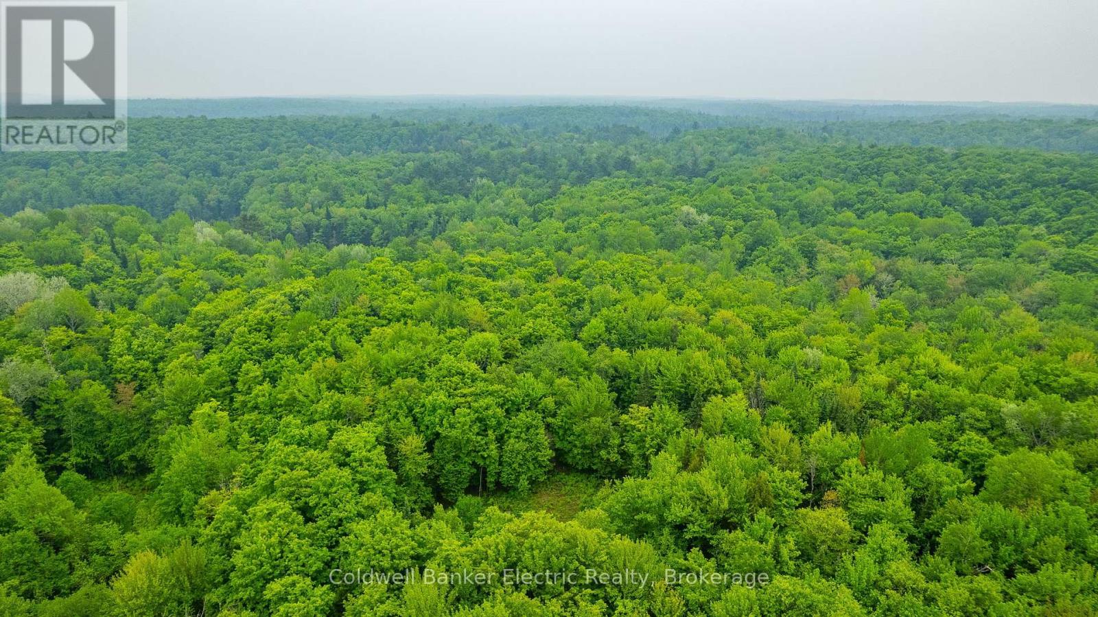 1304 Lower Monmouth Lake Road, Highlands East (Monmouth), Ontario  K0L 2Y0 - Photo 23 - X13646882